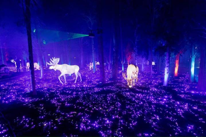 Imágenes | Así ha sido la inauguración de Boreal en el Parque Grande
