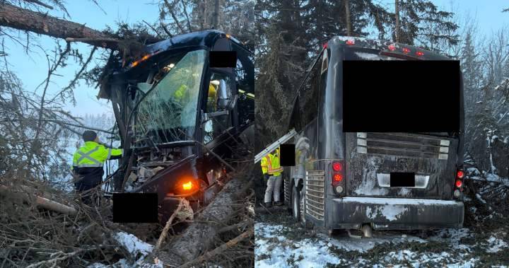 Bus carrying youth hockey team crashes north of Edmonton, 2 in hospital