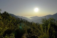 Lugares turísticos en Chile: cómo llegar a la Reserva Nacional Roblería del Cobre de Loncha