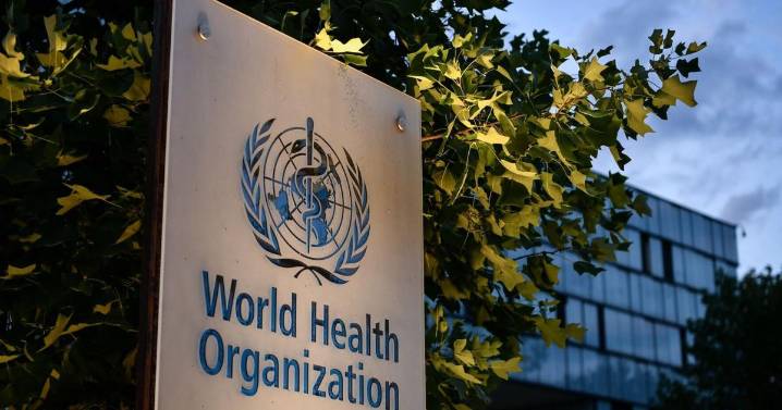 WHO panel finds no link between vaccines and autism