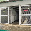 Mejoras en el Centro de Atención Animal Saltillo: Emmanuel Olache detalla cambios