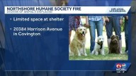 Community rallies around Northshore Humane Society after kennel fire