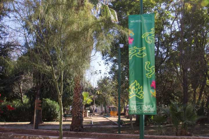 MUREL conmemora 49 años de existencia con el Festival del Bosque