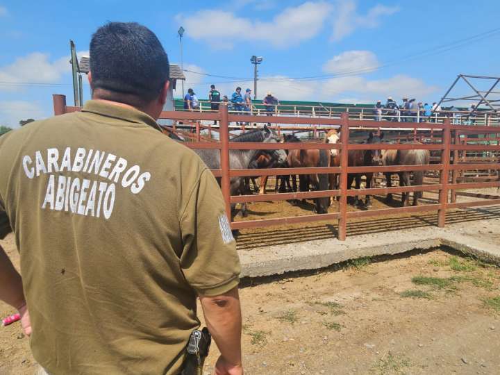 Carabineros de Ñuble informa.