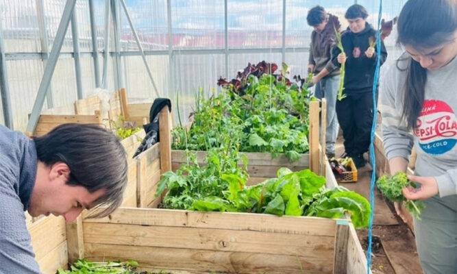 Agronomía Umag: ciencia, innovación y territorio para el nuevo agro patagónico