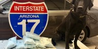 K-9 helps bust man allegedly trafficking fentanyl through Yavapai County