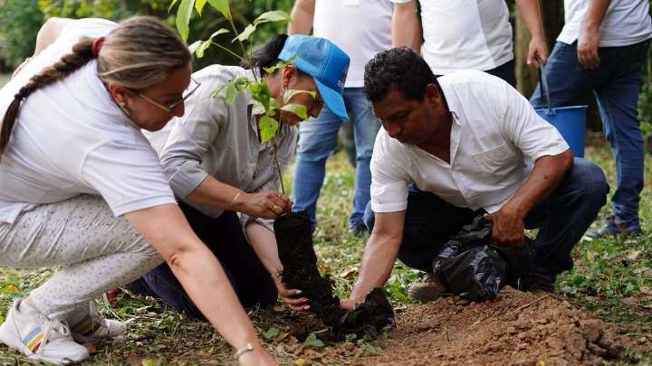 Alianza ambiental histórica: CAR y Corpoguavio invierten $10.339 millones para restaurar ecosistemas estratégicos en Cundinamarca