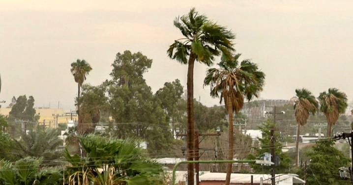 Hacen llamado a la ciudadanía a mantenerse alerta ante los vientos de Santa Ana