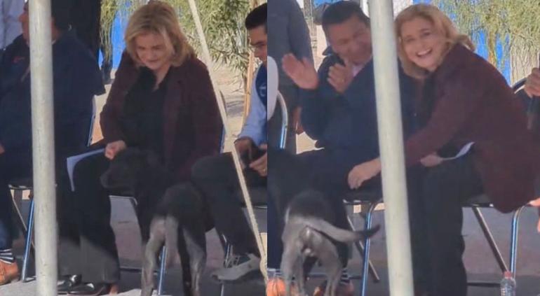 Lomito irrumpió evento de Maru; la Gobernadora jugó con él