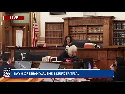 WATCH LIVE: Day 9 of Brian Walshe's murder trial