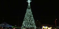 Forest Acres kicks off holiday season with annual tree lighitng