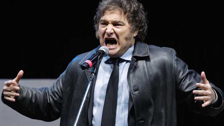 Influencers, modelos y un tenista: los peculiares nuevos miembros del Congreso argentino