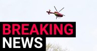 Boy, 15, dies after suffering single stab wound in north London estate