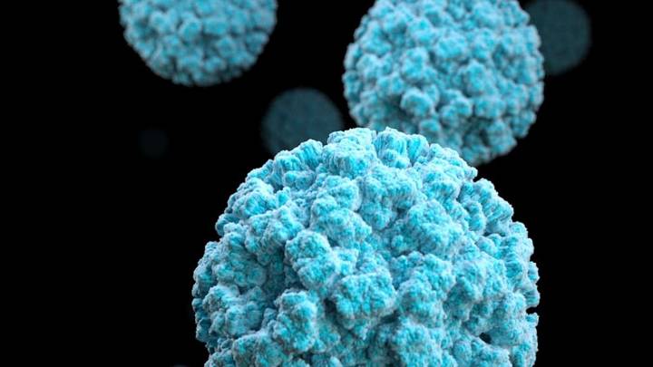 Un estudio revela por qué se multiplicaron los casos de gastroenteritis en los dos últimos años