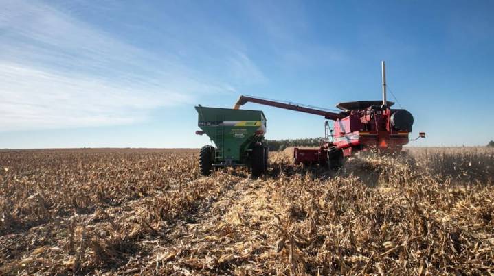 Baja de retenciones: el campo respalda la nueva señal del Gobierno