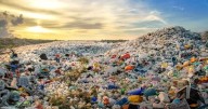 New Report Exposes the Limits of Plastic Recycling