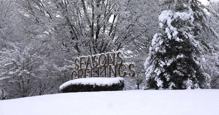 Wilmington Sees One of Its Largest December Snowfalls in Years, Disrupting Travel Across New Castle County