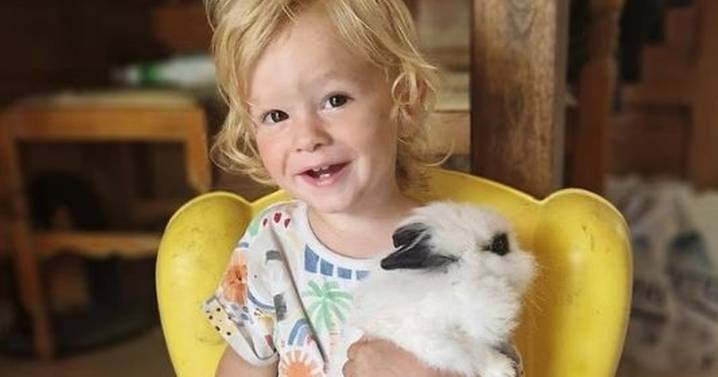 Brit boy, 2, mauled to death by 'spooked' pitbull in Greece