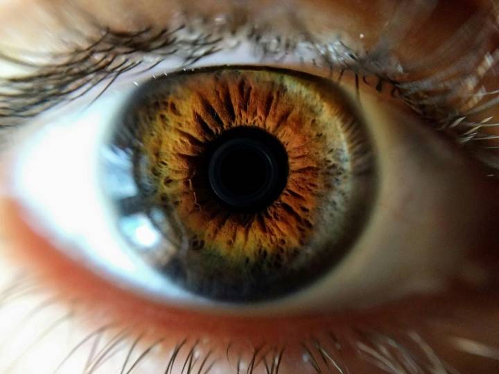 ¿Córneas sintéticas? Aprueban ensayo clínico