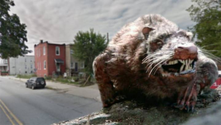 Millions Of ROUSes Begin Migration From Fire Swamp To Scenic Baltimore