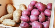 Potato crop waste to be turned into skincare and makeup