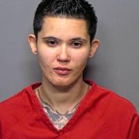 Illinois woman faces rape charges in alleged violent assault in Portage