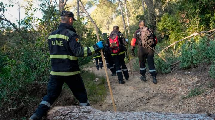 La UE declara 91 municipios de la provincia de Barcelona como zonas infectadas por la peste porcina africana