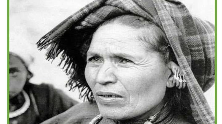 From Raini to Rajya Sabha: Bharat Ratna demand for Uttarakhand’s Chipko Movement icon Gaura Devi after 51 years