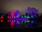 Cantigny Christmas Lights & Wicked Show in Illinois