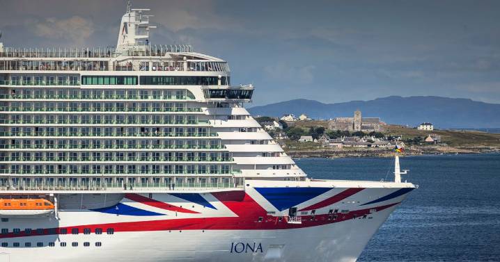 Cruise ship stuck in port after container filled with bananas falls into sea
