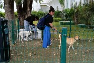 Área de relajación para "lomitos" en el Aeropuerto de Mérida: servicio único en el sureste del país