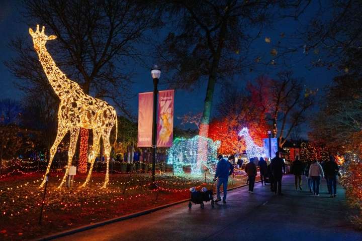 Things to do in Metro Detroit, Dec. 12 and beyond