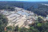 Brazilian Amazon’s most violent city tied to illegal gold mining on Indigenous land