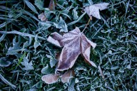 As December begins, Portland gets its first (quick) freeze of the season