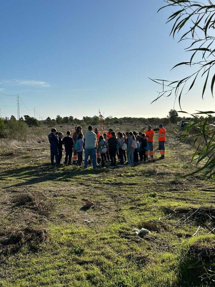 250 escolares participan en la plantación de 500 árboles