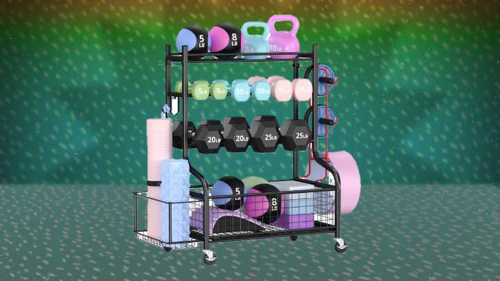 This Home Gym Storage Rack Is 38% Off for Cyber Monday