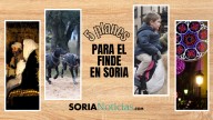 Cinco planes para este fin de semana en Soria