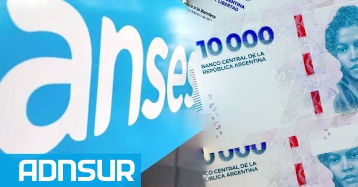 16:34 Paso a paso, cómo llenar el formulario de ANSES para cobrar $188.000 extra en diciembre