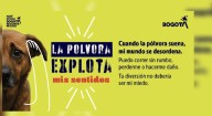 Bogotá lanza estrategia para que nos unamos en pro del bienestar animal esta Navidad