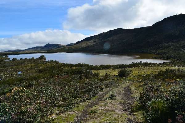 Contraloría anunció estrategia para  la conservación de páramos en el país