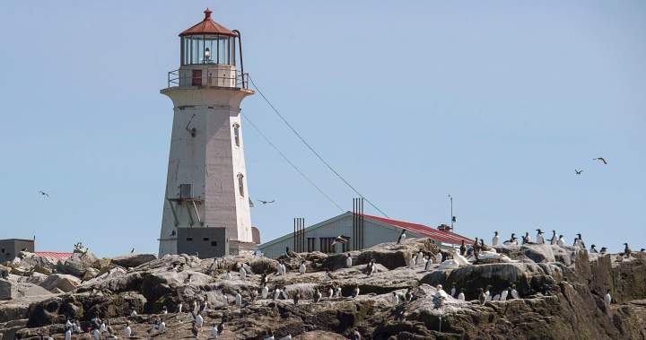Senator calls on Ottawa to reinforce Canada’s claim to island off New Brunswick
