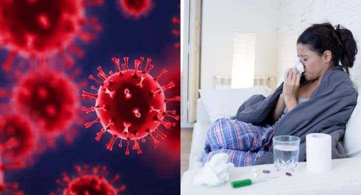 Gripe variante K: el brote que encendió la alerta mundial y adelantó el invierno 2026