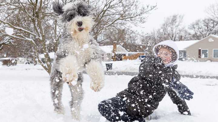 Stark County schools cancel classes because of snow