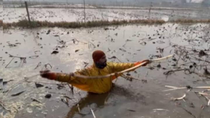 Kashmir’s ‘Nadru’ farmers battle winter cold, shrinking water channels and falling income