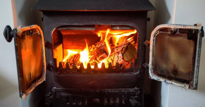 Urgent calls to ban wood burner fireplaces and log burners in UK homes this winter
