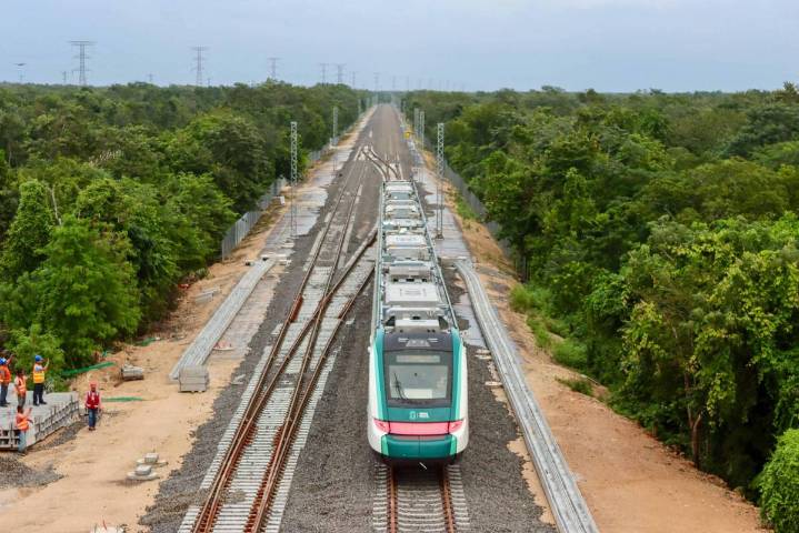 Urgen activistas a revertir daños causados por el Tren Maya