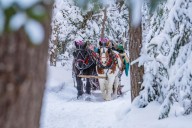 7 enchanting sleigh rides in Upstate NY to make your winter magical