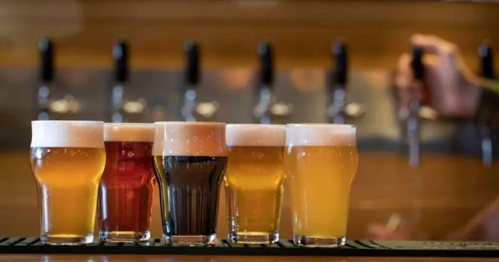 Aluminé presentó el Festival de Cerveza Artesanal 2025: cuándo es y qué actividades tendrá