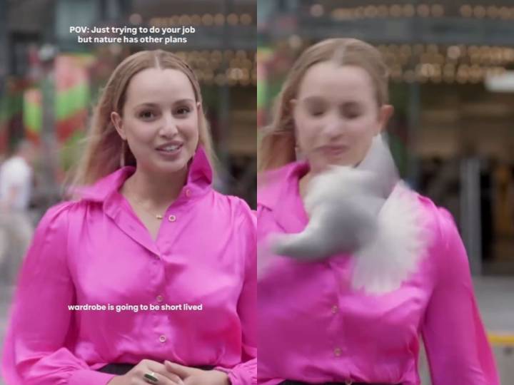 Periodista de TV recibe feroz golpe de paloma en cámara: quedó sangrando