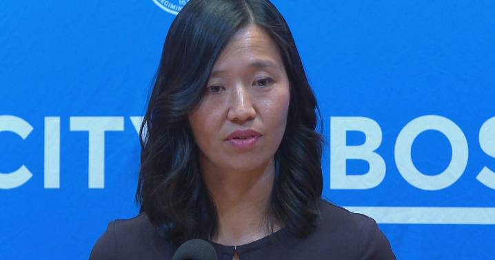 Mayor Wu says Boston made progress dealing with rats, trash, street issues this year